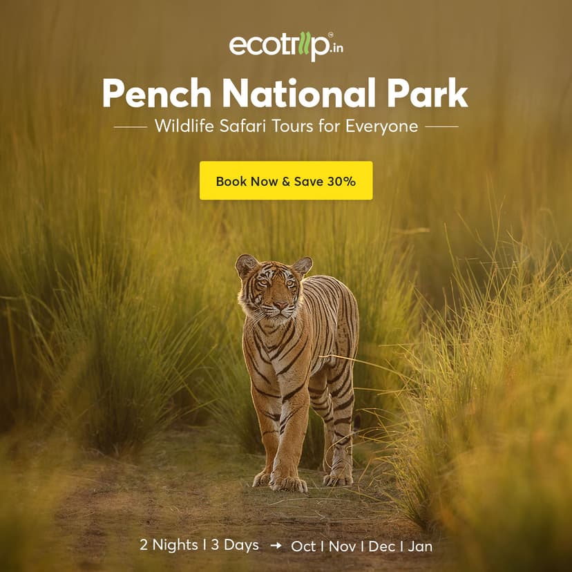 Creative designed by Logam Digital for EcoTrip