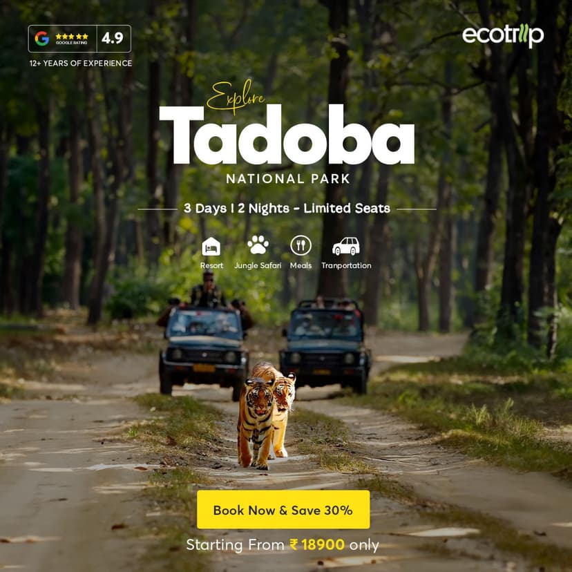 Creative designed by Logam Digital for EcoTrip