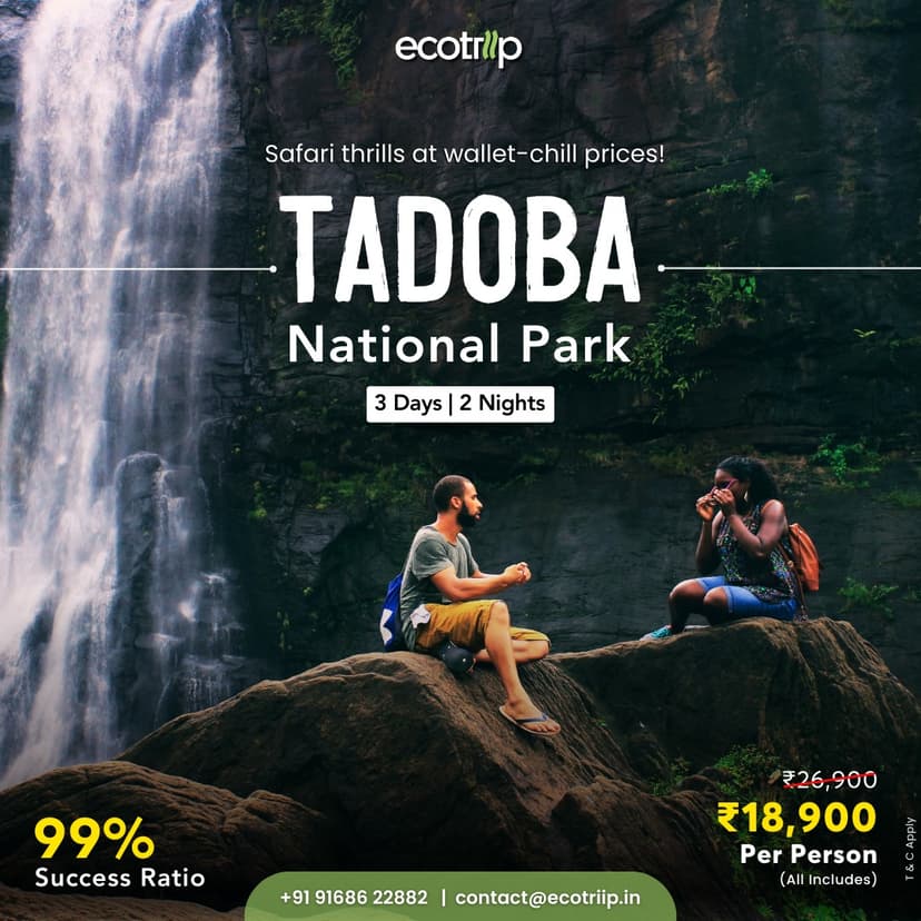 Creative designed by Logam Digital for EcoTrip