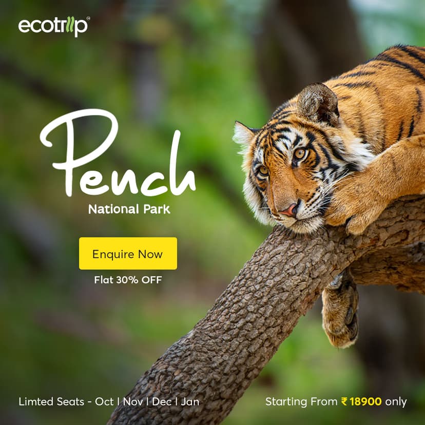 Creative designed by Logam Digital for EcoTrip