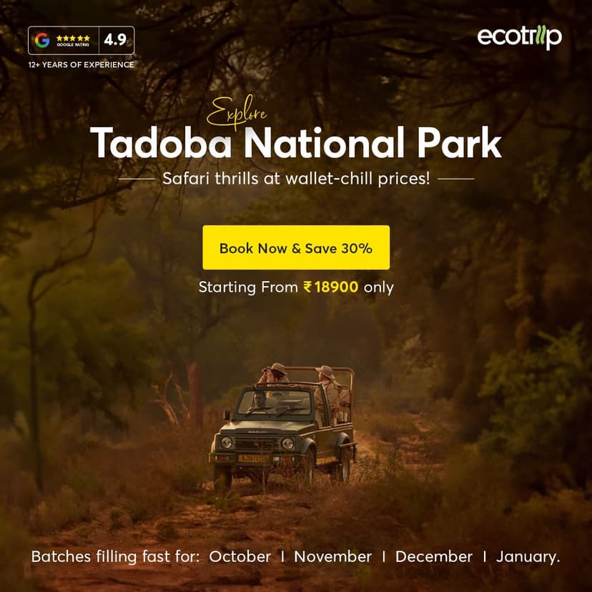 Creative designed by Logam Digital for EcoTrip