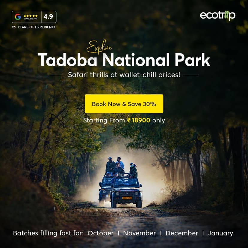 Creative designed by Logam Digital for EcoTrip