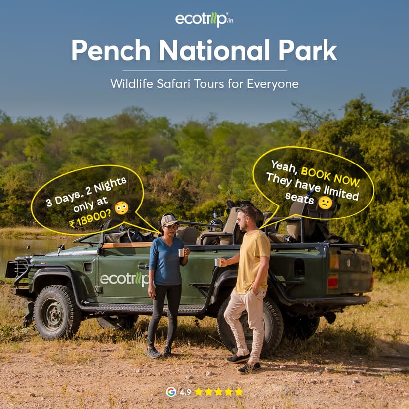 Creative designed by Logam Digital for EcoTrip