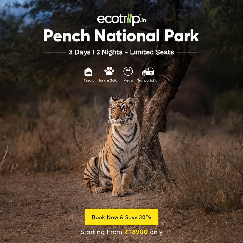 Creative designed by Logam Digital for EcoTrip